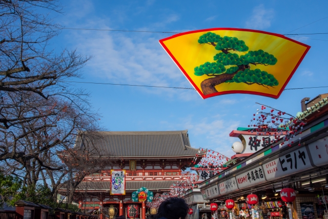 日本新年之旅：探寻都市活力与传统魅力